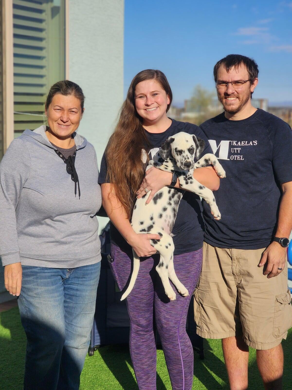 Dalmatians for Service Dog Training